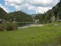 Landauersee 2276 2006-07-10.jpg