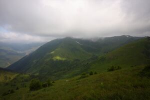 Mößnakar 1315 13-07-12.jpg