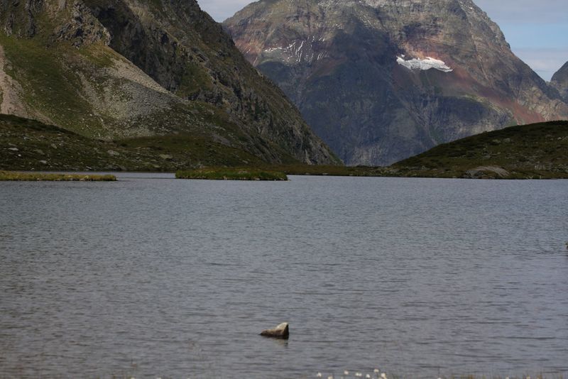 Datei:Oberer lanschitzsee 98116 2011-08-12.jpg