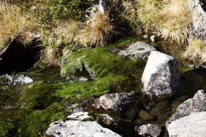 Rantensee 75049 2014-10-19.jpg