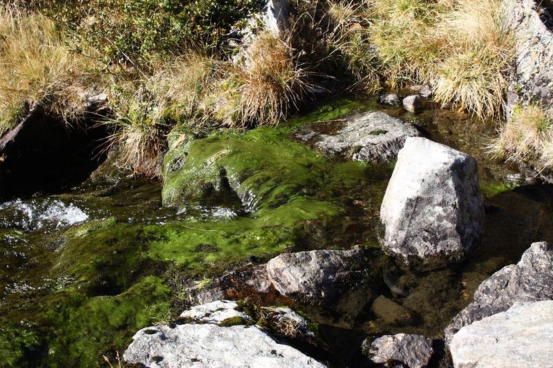 Datei:Rantensee 75049 2014-10-19.jpg