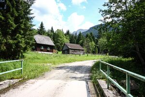 Riedleralm 1275 13-07-10.jpg