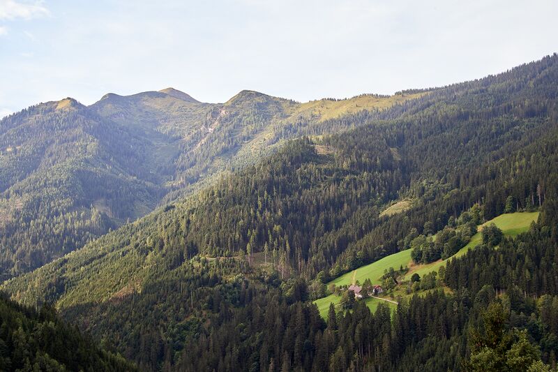 Datei:Schröck schattenberg öblarn-0243-2023-08-25.jpg