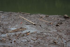 Stausee großsölk 55387 2017-08-13.jpg