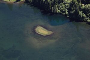 Steir.bodensee -labeck 49476 2017-06-09.jpg