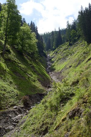 Totengraben Gnanitz-0274-2024-06-05.jpg