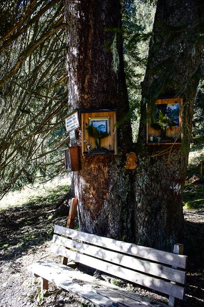 Datei:Totes gebirge-1151-2020-11-06.jpg