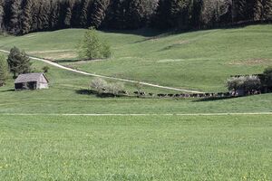 Vlg.schörkmaier gröbming 70949 2018-04-25.jpg