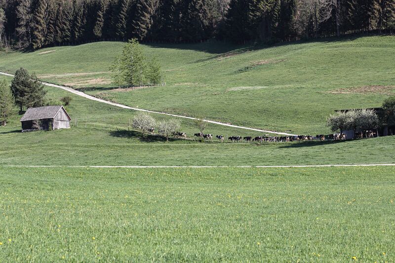 Datei:Vlg.schörkmaier gröbming 70949 2018-04-25.jpg