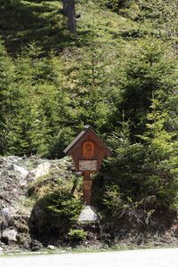 Wegkreuz sattental 46023 2017-05-19.jpg