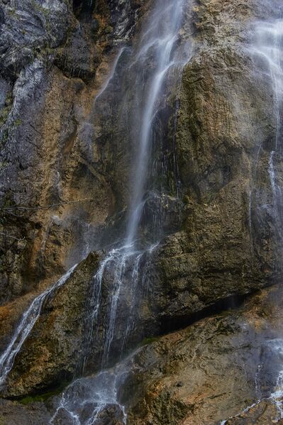 Datei:Wsf wolfbauer-408-2020-05-18-2.jpg