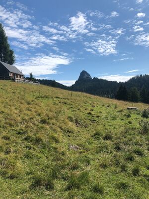 Bärenfeuchtenalm-31-2021-08-03.jpg