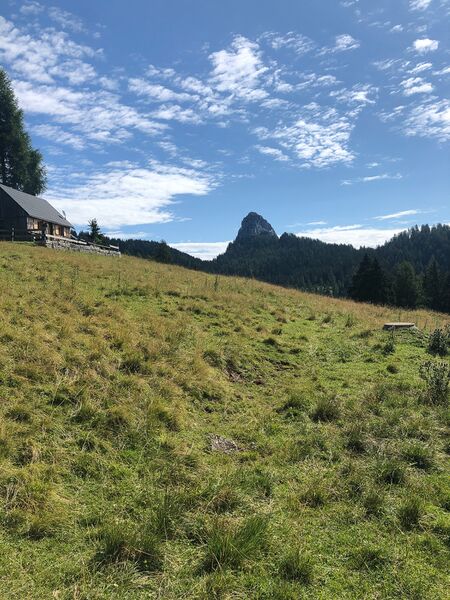 Datei:Bärenfeuchtenalm-31-2021-08-03.jpg