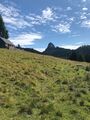 Bärenfeuchtenalm-31-2021-08-03.jpg