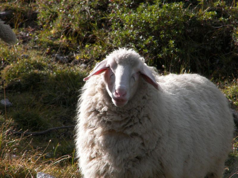 Datei:Beim brotrinnl 18550 2006-09-28.jpg