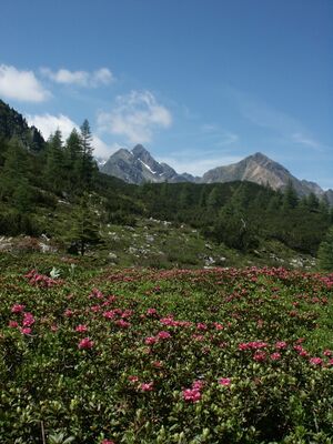 Eiskar 3618 2005-07-04.JPG