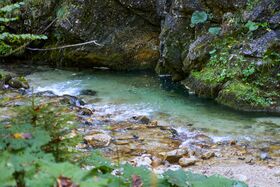 Frenzbach Frenzgraben-0379-2025-09-15.jpg