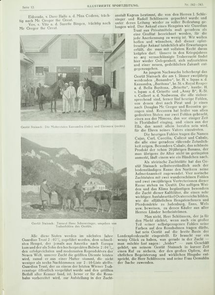 Datei:Gestüt Stainach 1924 03.jpg