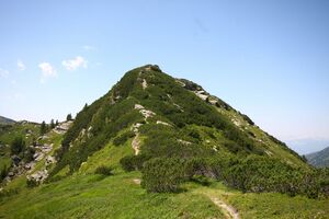 Gläserkoppe 929 13-08-05.jpg