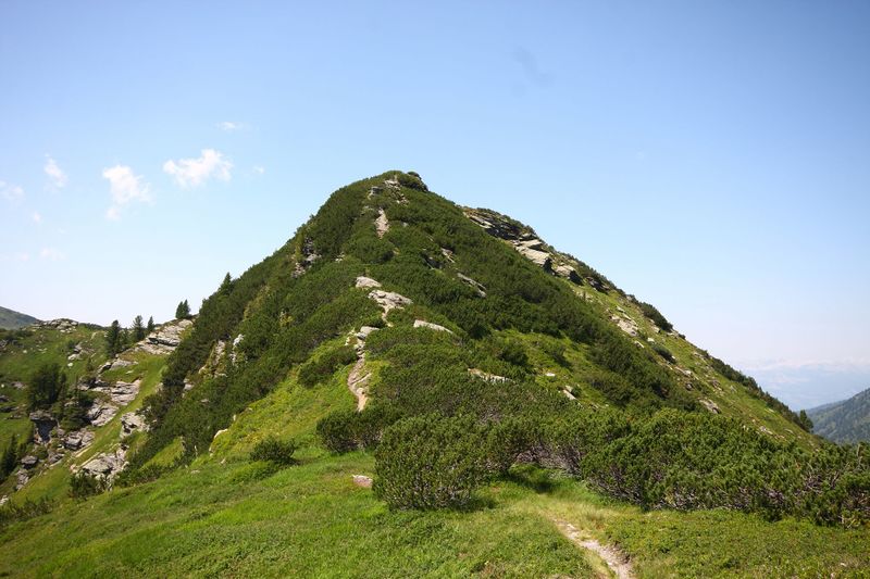 Datei:Gläserkoppe 929 13-08-05.jpg