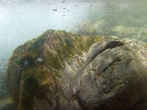 Obertalbach 97904 2045-07-06.jpg