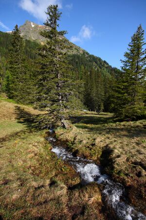 Obertalbach keinprecht 0533 2008-06-01.jpg