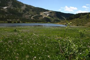 Plannersee 65274 2014-06-26.jpg