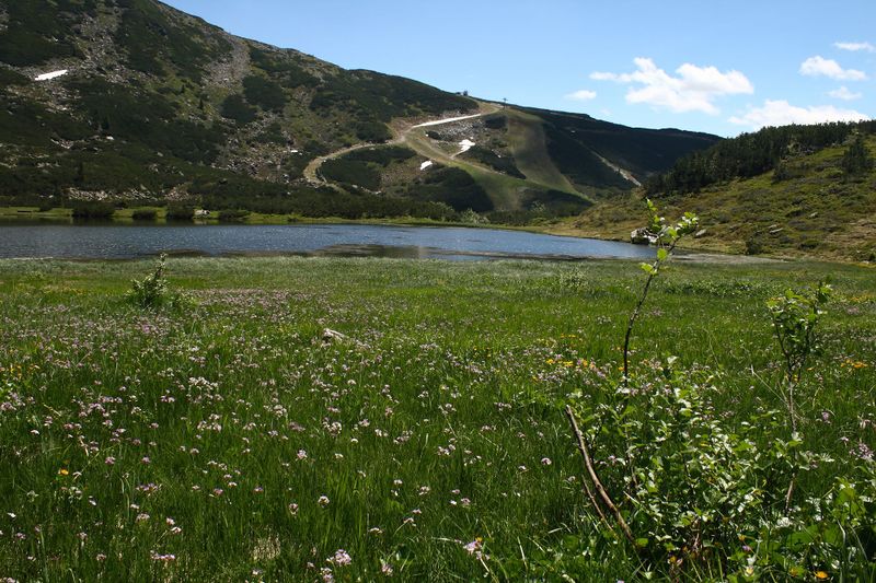 Datei:Plannersee 65274 2014-06-26.jpg