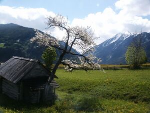 Rohrmoos 46390 2004-05-24.jpg