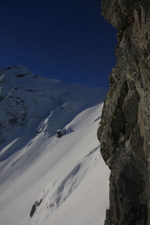 Schnabelkar 77426 2011-02-02.jpg