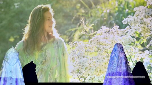 Traumwelt des Lichts - der Geist der Weihnacht 2025 16.jpg