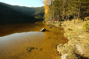 Ödensee 77943 2014-11-03.jpg