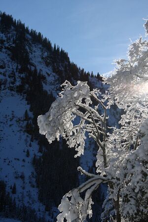 Bodensee 26535 2014-01-01.jpg