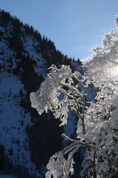 Datei:Bodensee 26535 2014-01-01.jpg