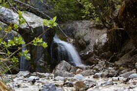 Butterbründlbach gseis-2003-2021-05-26-2.jpg