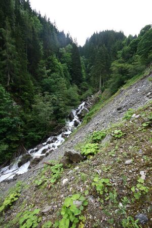 Dürrenbach haus 28048 2016-06-26.jpg