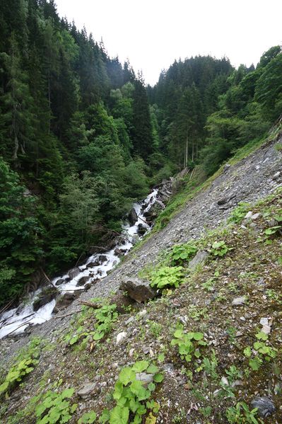 Datei:Dürrenbach haus 28048 2016-06-26.jpg