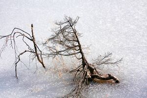 Duisitzkarsee 14344 2011-11-30.jpg