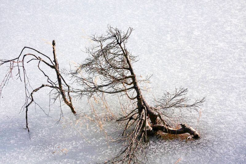 Datei:Duisitzkarsee 14344 2011-11-30.jpg