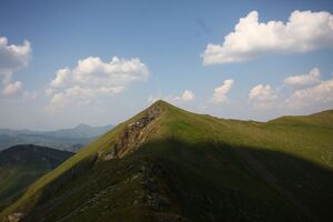 Eiskarspitz 1326 13-08-06.jpg