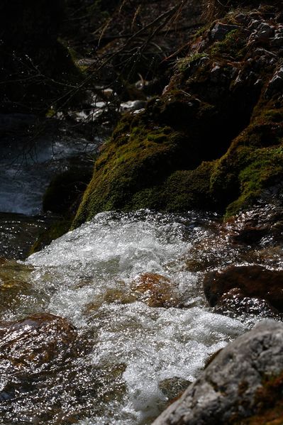 Datei:Feisterbach 1154 2008-04-17.jpg
