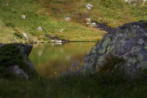Griegelsee großsölk 71615 2014-09-16.jpg