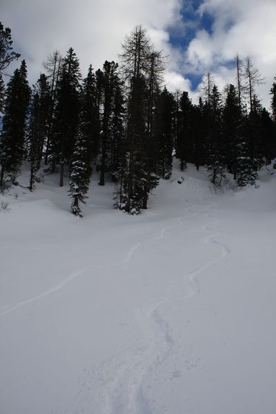 Datei:Große wiesmahd 80423 2015-01-07.jpg