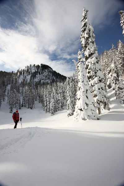 Datei:Hochwiesmahd 2013-01-09 4395.jpg