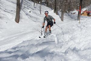 Hubsi-Lauf 2015-32598 n.jpg