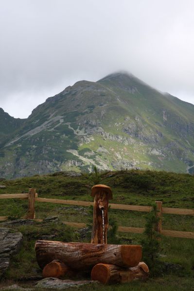 Datei:Im Wildkar 2499 2009-07-25.jpg