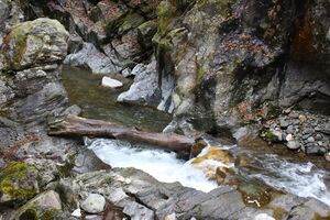 Kleinsölkbach strub 77589 2014-10-29.jpg