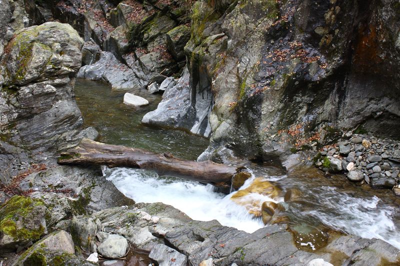 Datei:Kleinsölkbach strub 77589 2014-10-29.jpg