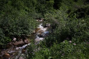 Mößnakarbach 0901 13-07-12.jpg