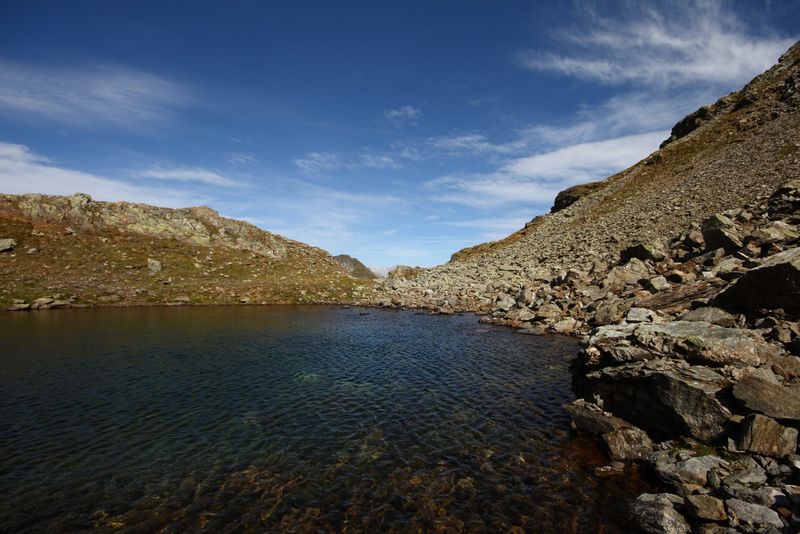 Datei:Nördliche krukecklacke 01697 2015-09-13.jpg
